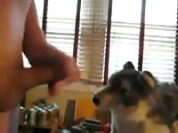 Jerking On Wolf Plush Gay Beast Com - Animal Sex