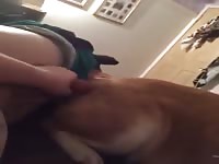 Just Me Gay Beast Com - Beastiality Porn Movie