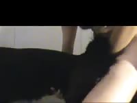 K9 Anal Play Wd Fuck Petlust Gay Zoo Porn Men And Animal