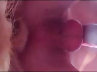 Knot And Cum Explosion In The Ass Gaybeast Rip - Animal Sex