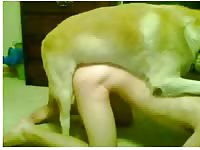 Lab Tie Gaybeast - Beastiality Porn Tube