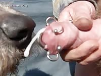 Lick Job Slow Motion Ikanon Ljcn