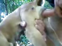 Little Dog Fuck Gaybeast.Com - Animal Sex Movie