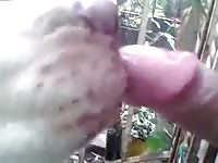 Long Lick Gay Beast Com - Animal Porn Video