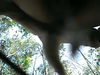 Love Knot Ck003 Gaybeast - Beastiality Sex