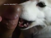 M Licke By Dog Anluv1313 Quick