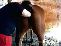Magy Fist Gay Beast Com - Beastiality Porn Movie
