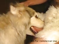 Malamuzzle