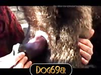 Male Akita Dildo Fucked Gaybeast - Animal Sex Tube