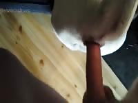 Male Dog Taken Frome Behind Gaybeast.Com - Animal Sex Tube