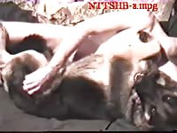 Male Have Sex With Female Gsd Gaybeast - Bestiality Porn Video