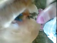 Man And Cow Anal 3 Gaybeast - Zoo Xxx Sex