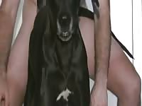 Man And Dog2