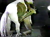 Man And Donkey