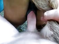 Man And Lover Gaybeast.Com - Beastiality Sex Movie
