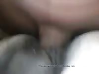 Man And Mare 19 Gaybeast Rip - Beastiality Sex Tube