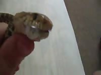 Man And Snake 3