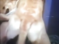 Man Fuck By Dog Gaybeast.Com - Animal Porn