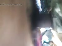 Man Fuck Female Dog03 Gaybeast.Com - Beastiality XXX Porn
