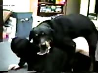 Man Fucked By Dog Until It Cums Gaybeast - Animal Sex Tube