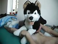 Man Pawing Off With 3 Plush Dog Gaybeast Rip - Bestiality Sex Video