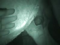 Man Sucks Horse Gaybeast - Beastiality Sex Porn