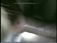 Man With Goat Gay Beast Com - Zoo Xxx Porn Tube