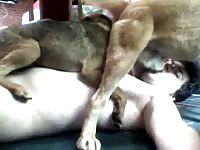 Marcos Bangs His Girl While Suck His Boy Gaybeast Rip - Beastiality XXX Sex Video