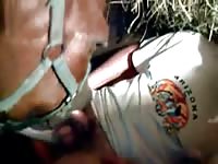 Mare Blowjob Gaybeast Rip - Bestiality Sex Tube