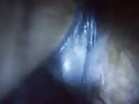 Mare Fist 3d Gaybeast Rip - Animal Porn Movie