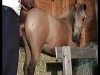 Mare Fucking 5 Gay Beast Com - Beastiality Porn Tube