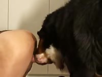 Me And Kinkyboi Gaybeast Rip - Bestiality Sex Video