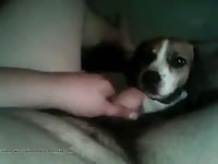 Me And My Beagle Bj Gaybeast.Com - Beastiality Sex