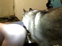 Me And My Boy2