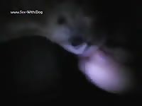 Me And My Male K9 Buddy Stonedfrog L0001