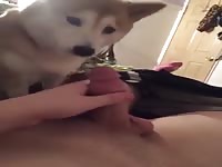 Me And Xoo Play Together Gaybeast Rip - Animal Sex