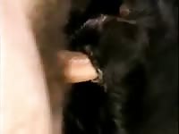 Me Fucking Gay Beast Com - Beastiality Sex Tube