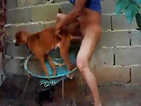 Men Fuck Dog Hard