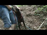 Men Fuck Dog In Public
