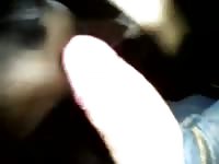 Men Fuck Pony Mini Mare Gay Beast Com - Zoo Xxx Porn Movie