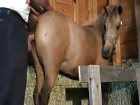 Men Mare Beautiful Sex