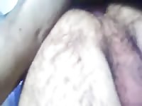 Men Suck Dog Cock Gay Beast Com - Animal Porn Tube