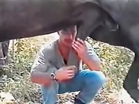 Men Sucking Horse Gay Beast Com - Beastiality XXX Sex Tube