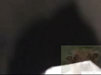 Mens Fucks Calf Gaybeast Rip - Beastiality Sex Porn Movie