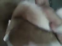 Mi Perra Caliente Gaybeast Rip - Bestiality Sex