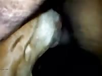 Mi Rica Perra Gaybeast Rip - Animal Sex