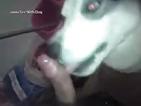 Mine And Storms First Time Mandm Forestboi22 Husky Mememe