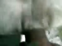 Minha Namorada Gaybeast.Com - Bestiality Sex Tube