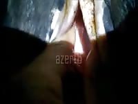 Mini Gaybeast Rip - Beastiality Sex Porn Tube