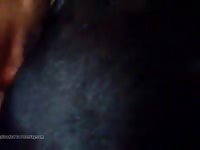 Mini Mare Creampie Gaybeast - Animal Porn Tube
